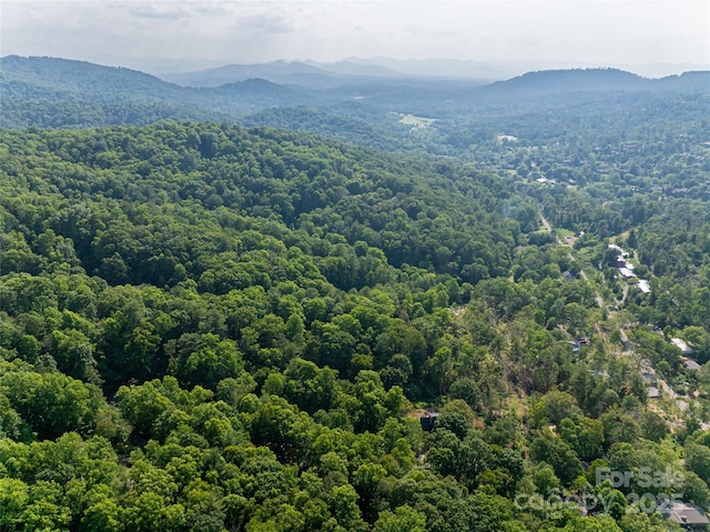 12 Beech Tree Ln, Asheville, NC 28804 - drone / aerial view of a mountain backdrop