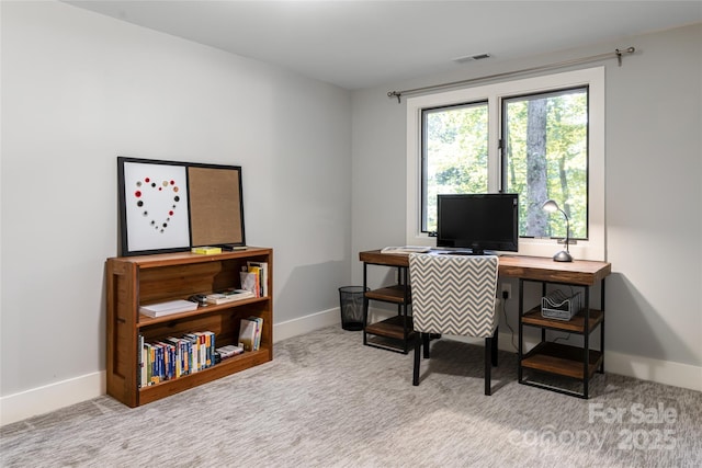 12 Beech Tree Ln, Asheville, NC 28804 - photo 36