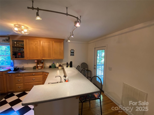 5570 George Henry Dr, Hickory, NC 28602 - kitchen with a breakfast bar area, a peninsula, rail lighting, and light countertops