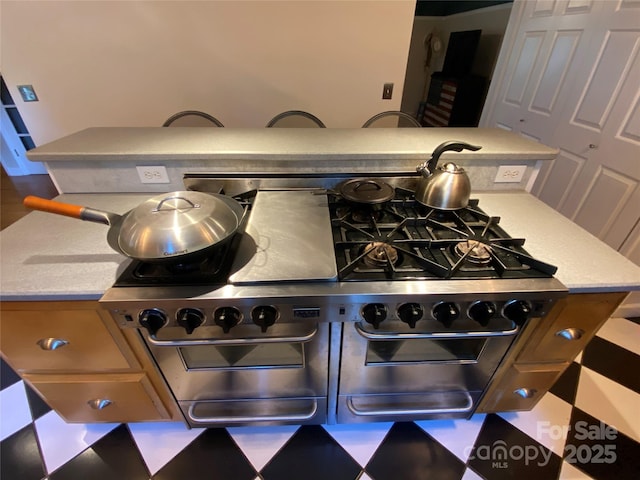 5570 George Henry Dr, Hickory, NC 28602 - detailed view of double oven range and light countertops
