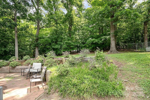 816 Fulton St, Albemarle, NC 28001 - view of yard with a patio area
