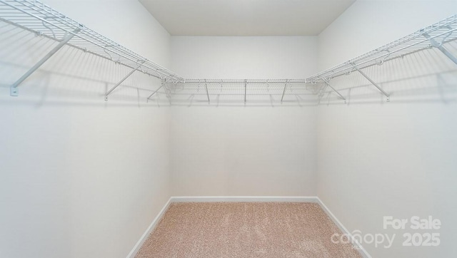 4238 Steel Way, Sherrills Ford, NC 28673 - spacious closet featuring carpet flooring
