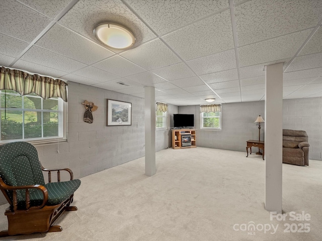 3509 Flint Dr, Statesville, NC 28677 - below grade area with concrete block wall, carpet flooring, and a paneled ceiling