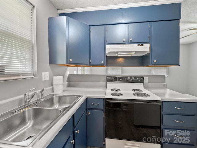 3509 Flint Dr, Statesville, NC 28677 - kitchen with under cabinet range hood, electric stove, blue cabinetry, a textured ceiling, and light countertops