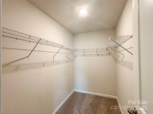 414 1st Ave SE, Hickory, NC 28602 - spacious closet featuring carpet