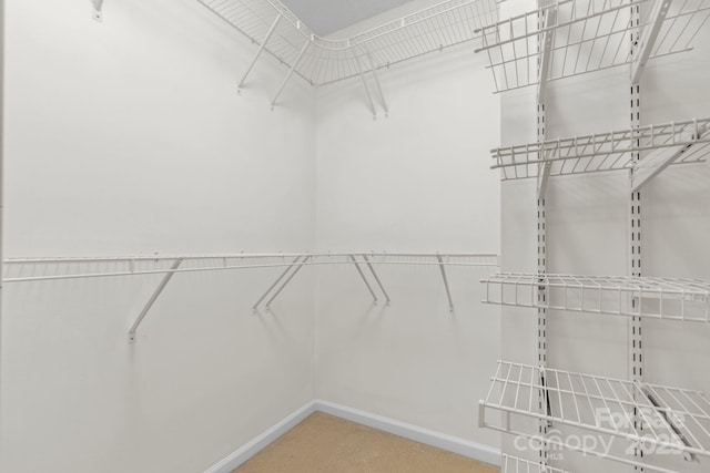 131 Canopy Ct, Mooresville, NC 28115 - view of walk in closet