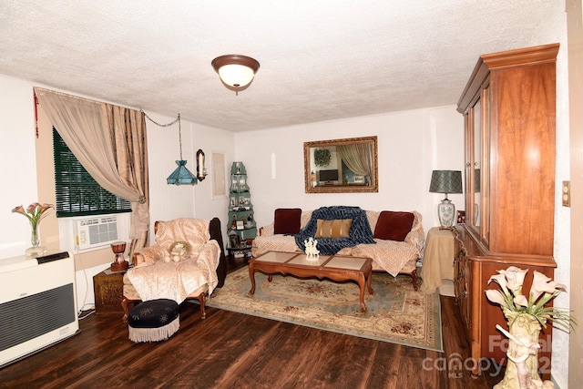 19 Mingus St, Canton, NC 28716 - living area with dark wood finished floors, heating unit, and a textured ceiling