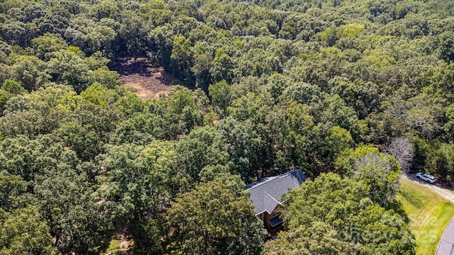 2505 Mountain Folk Ln, Waxhaw, NC 28173 - photo 29