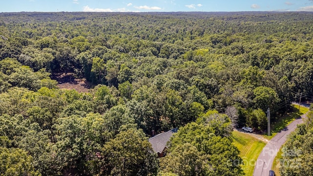 2505 Mountain Folk Ln, Waxhaw, NC 28173 - photo 31