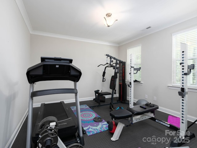 4237 Island Fox Ln, Denver, NC 28037 - workout area with baseboards and ornamental molding
