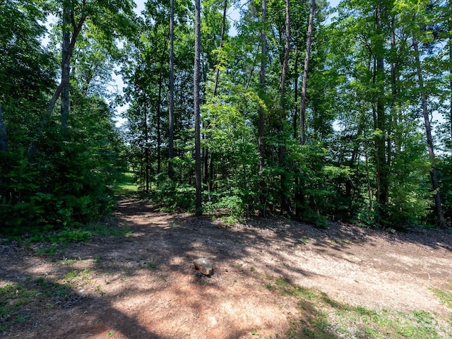 4237 Island Fox Ln, Denver, NC 28037 - view of local wilderness