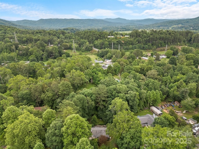 140 Whispering Pines Dr, Pisgah Forest, NC 28768 - photo 34