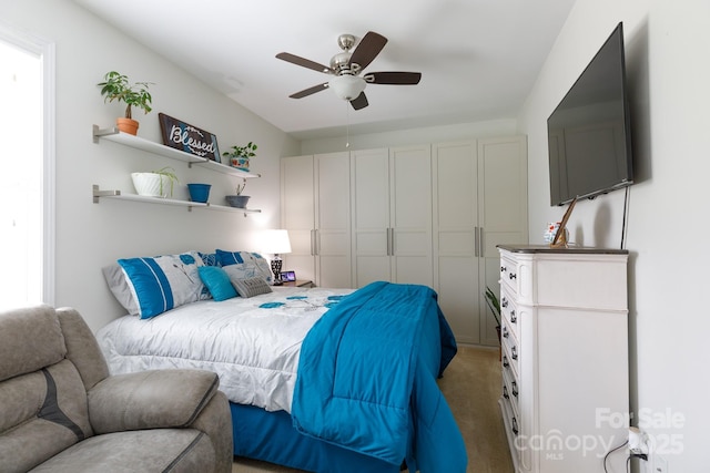 2405 Emma Grace Ln, Rock Hill, SC 29732 - bedroom with light colored carpet, a ceiling fan, and a closet