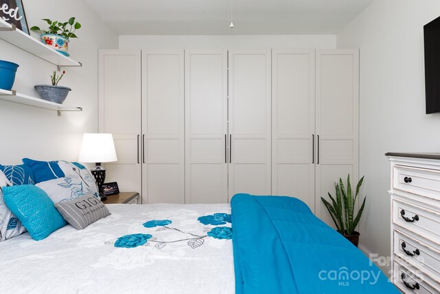 2405 Emma Grace Ln, Rock Hill, SC 29732 - bedroom featuring a closet