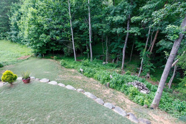 2405 Emma Grace Ln, Rock Hill, SC 29732 - view of grassy yard