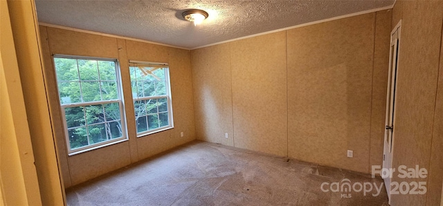6220 Dekalb Dr, Connelly Springs, NC 28612 - spare room with crown molding, healthy amount of natural light, a textured ceiling, carpet floors, and a decorative wall