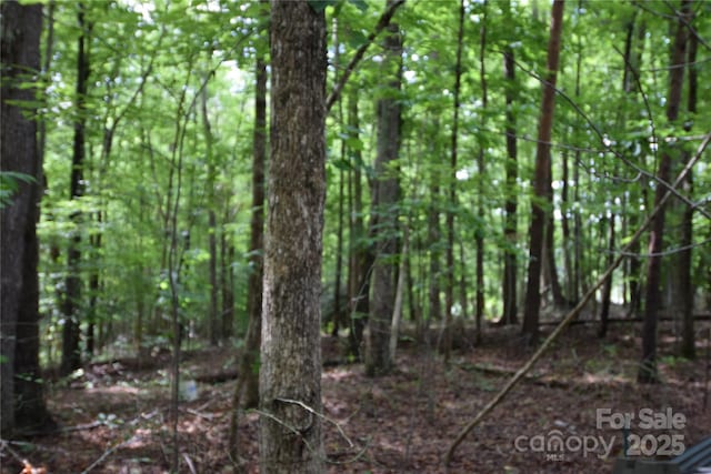 3375 Old Seine Rd, Smyrna, SC 29743