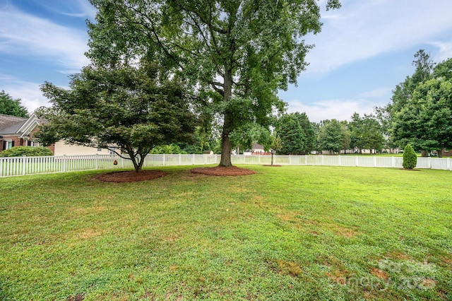 13403 Kensal Green Dr, Charlotte, NC 28278 - view of yard
