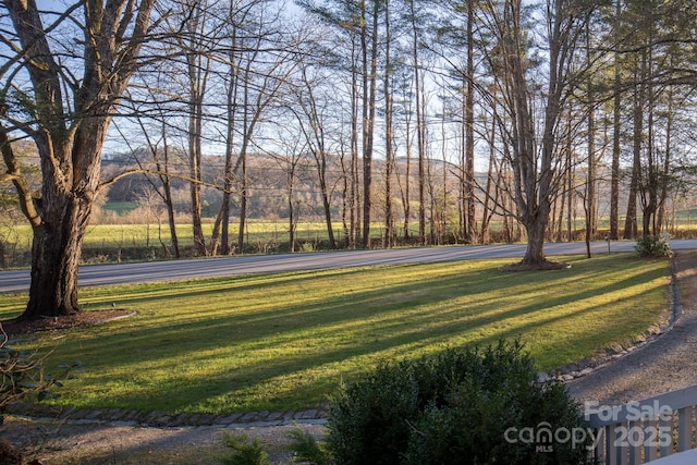 4584 NC Highway 194 S, Banner Elk, NC 28604 - view of green lawn