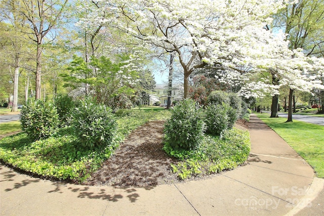 1137 Queens Rd W, Charlotte, NC 28207 - view of community