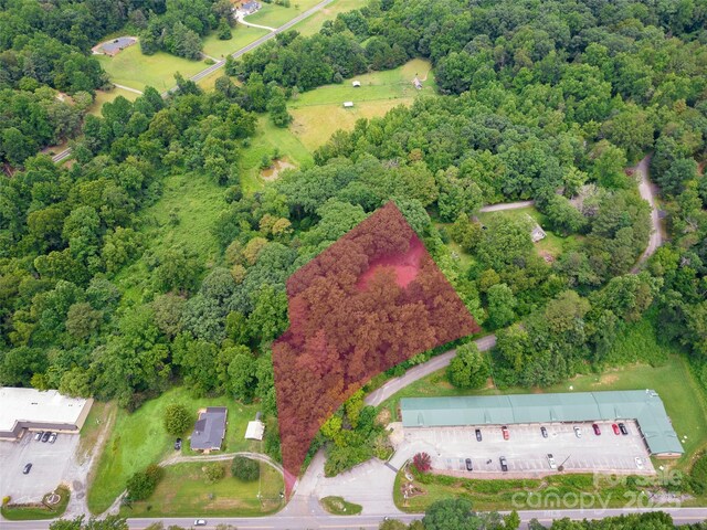 91 Ford Ridge Ln, Columbus, NC 28722 - photo 1