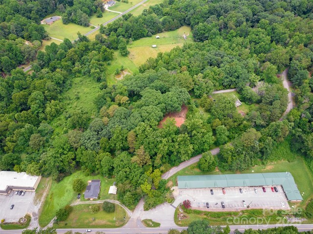 91 Ford Ridge Ln, Columbus, NC 28722 - photo 4