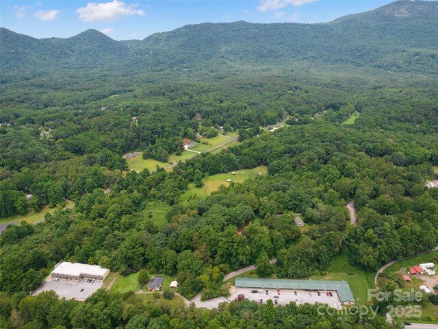 91 Ford Ridge Ln, Columbus, NC 28722 - photo 5