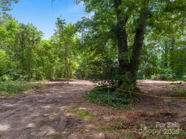 91 Ford Ridge Ln, Columbus, NC 28722 - photo 6