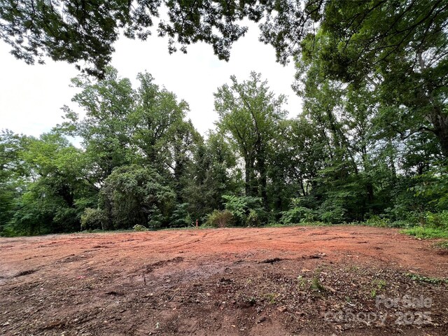 91 Ford Ridge Ln, Columbus, NC 28722 - photo 18