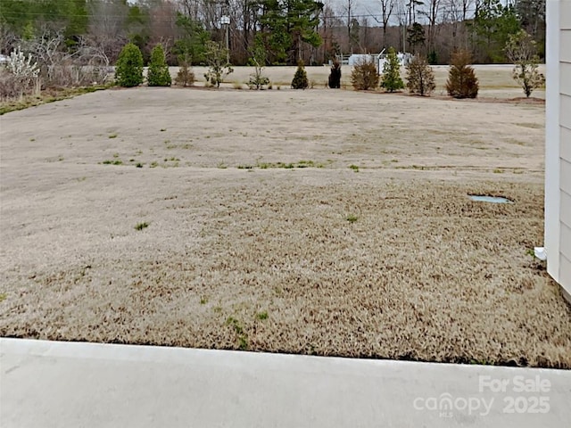 3629 Cerelia Ln, Denver, NC 28037 - view of yard