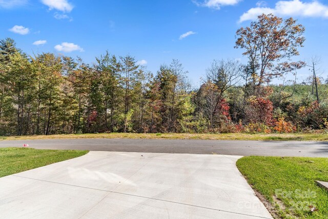 181 Cherry Springs Ln Unit 24-A, Asheville, NC 28804 - photo 36