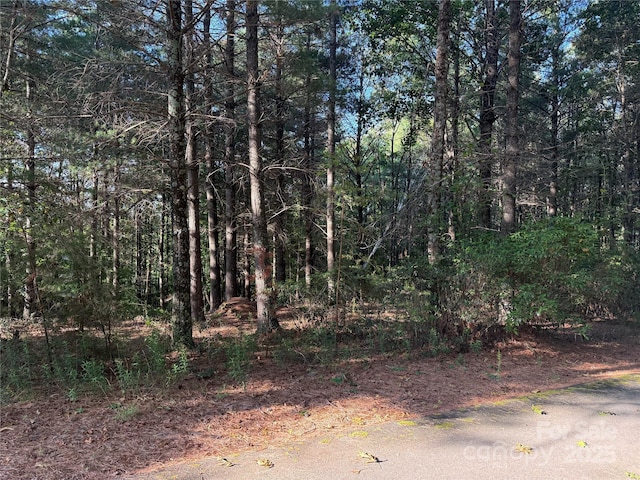 0 Bear Cliff Dr Unit 26, Nebo, NC 28761