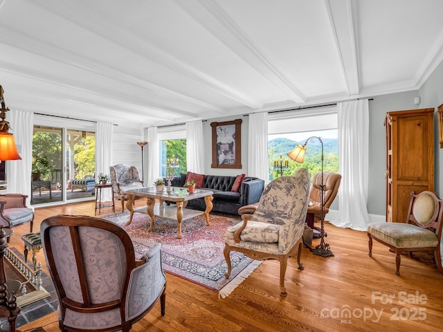 287 Pacolet Ridge Ln, Tryon, NC 28782 - living area featuring beam ceiling and wood finished floors