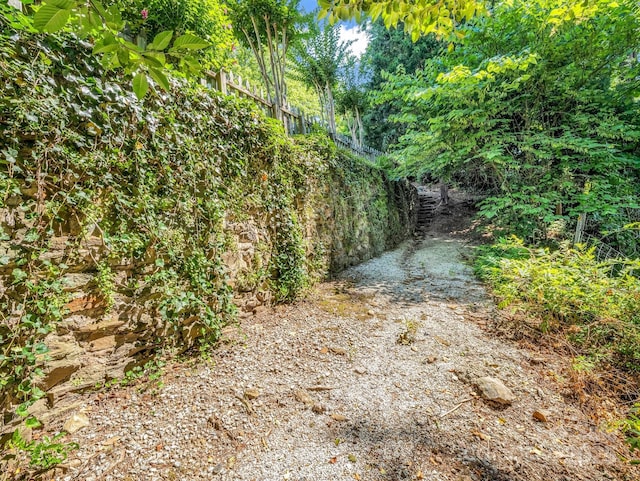 287 Pacolet Ridge Ln, Tryon, NC 28782 - view of yard