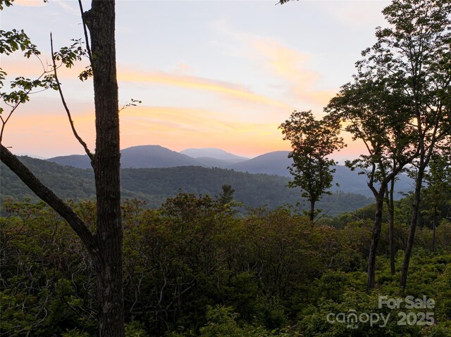 000 E Garden Trl Unit 47, Fletcher, NC 28732 - photo 1