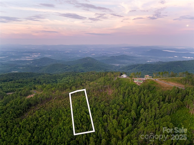 000 E Garden Trl Unit 47, Fletcher, NC 28732 - photo 2
