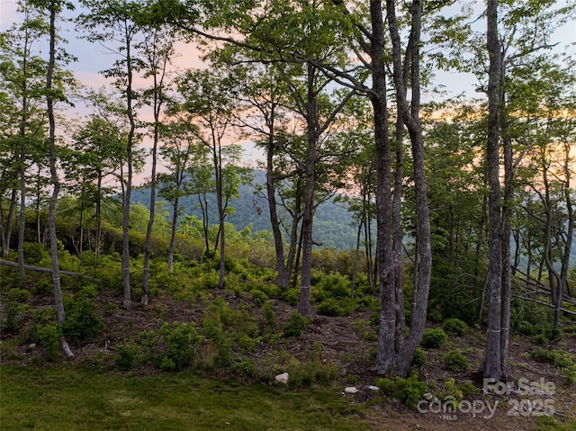 000 E Garden Trl Unit 47, Fletcher, NC 28732 - photo 4