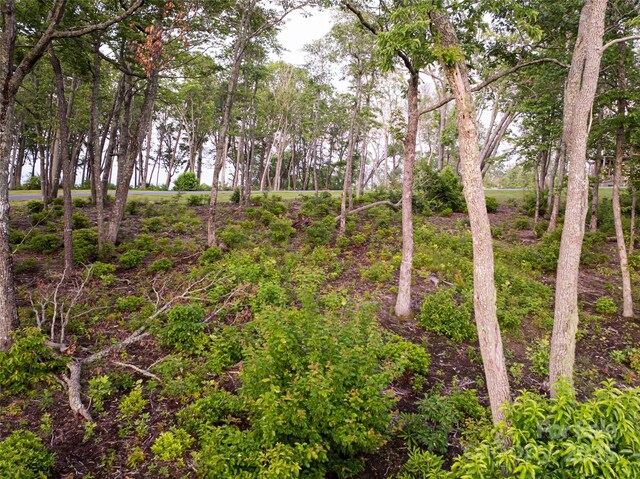 000 E Garden Trl Unit 47, Fletcher, NC 28732 - photo 5