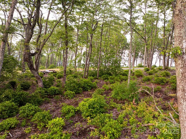 000 E Garden Trl Unit 47, Fletcher, NC 28732 - photo 6