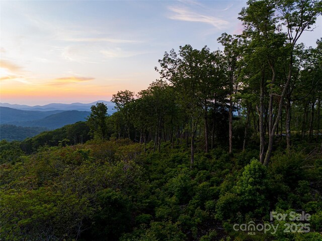 000 E Garden Trl Unit 47, Fletcher, NC 28732 - photo 11