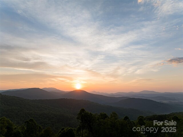 000 E Garden Trl Unit 47, Fletcher, NC 28732 - photo 13