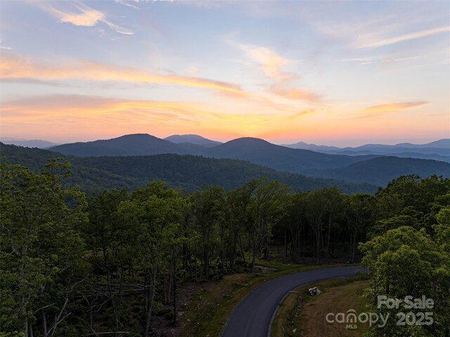 000 E Garden Trl Unit 47, Fletcher, NC 28732 - photo 16