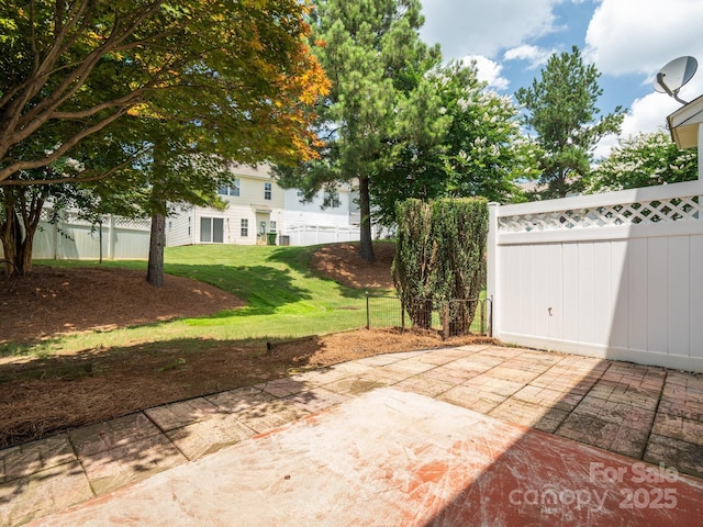 146 Rapids Rd, Fort Mill, SC 29715 - photo 12