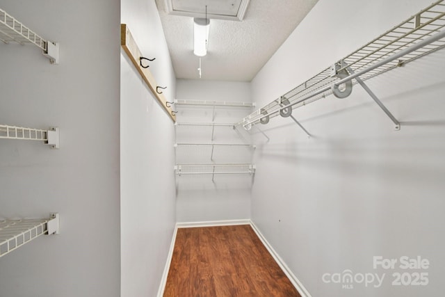 343 Stonehollow Rd, Fletcher, NC 28732 - walk in closet with wood finished floors