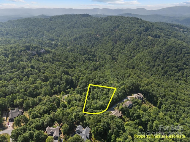 1063 Somersby Pkwy Unit 3, Hendersonville, NC 28739