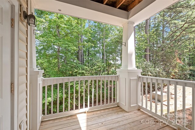 16344 Redstone Mountain Ln, Charlotte, NC 28277 - photo 6