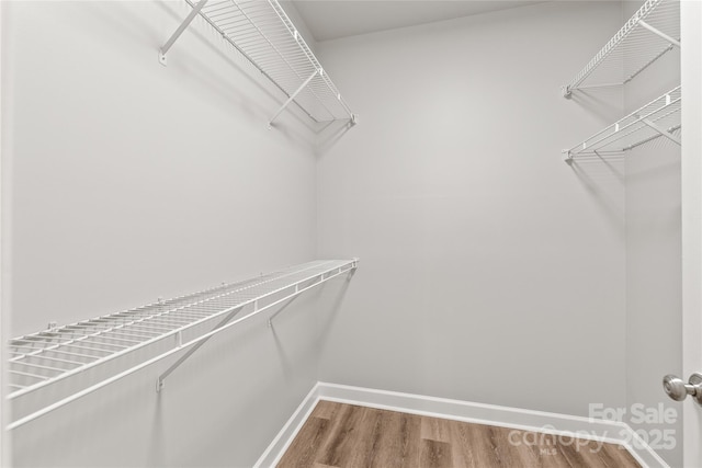 16344 Redstone Mountain Ln, Charlotte, NC 28277 - photo 29