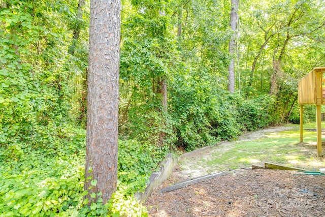 1 Loggerhead Dr, Columbia, SC 29229 - view of yard