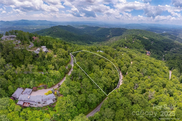 152 Skycliff Dr Unit 8, Asheville, NC 28804 - photo 2