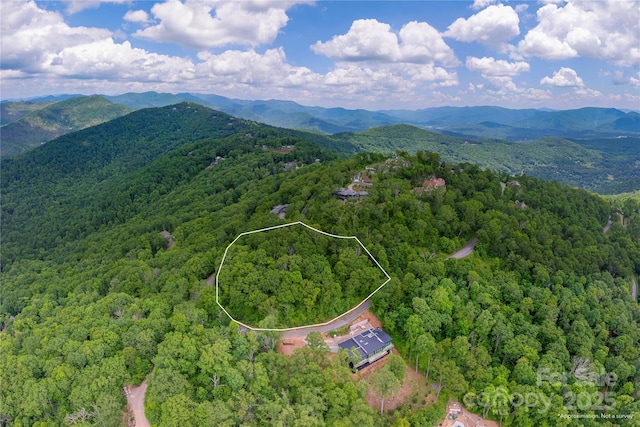 152 Skycliff Dr Unit 8, Asheville, NC 28804 - photo 3